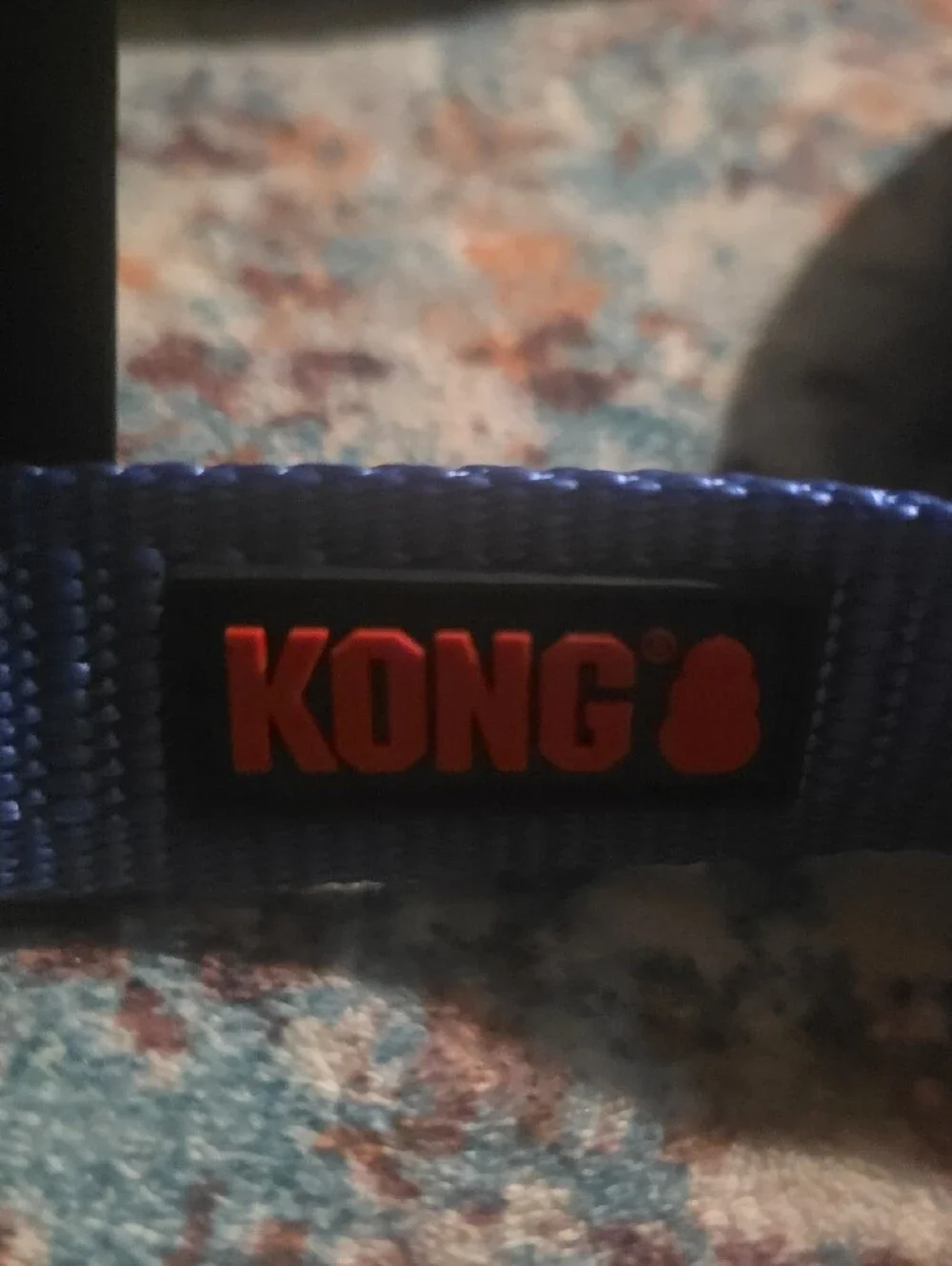 Kong Blue and Black Ultra Durable Hands-Free Dog Leash 6Ft Long Nwt